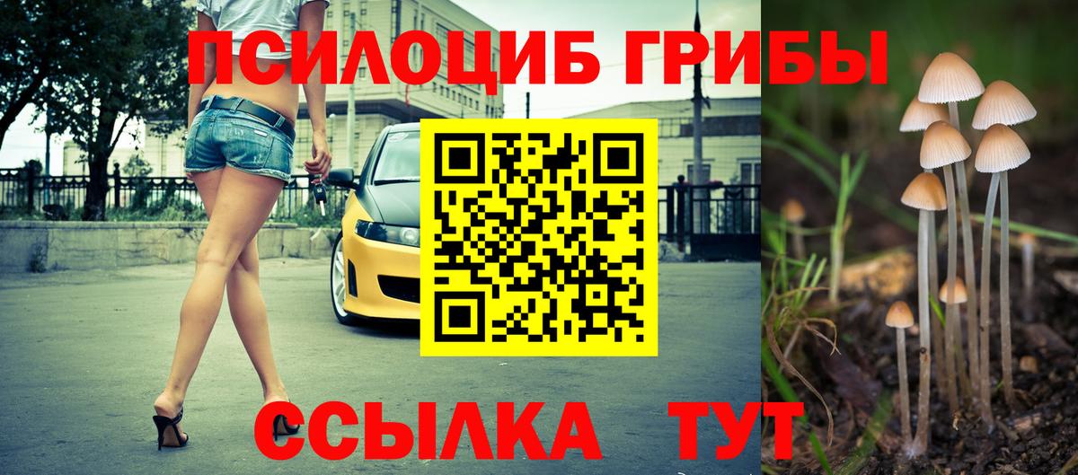 Галлюциногенные грибы MAGIC MUSHROOMS  Галлюциногенные грибы Psilocybe  Вход с VPN  Знаменск 